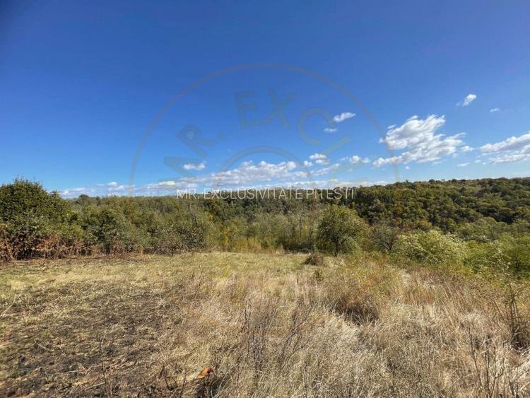 Teren Babana 5000mp intravilan - 7