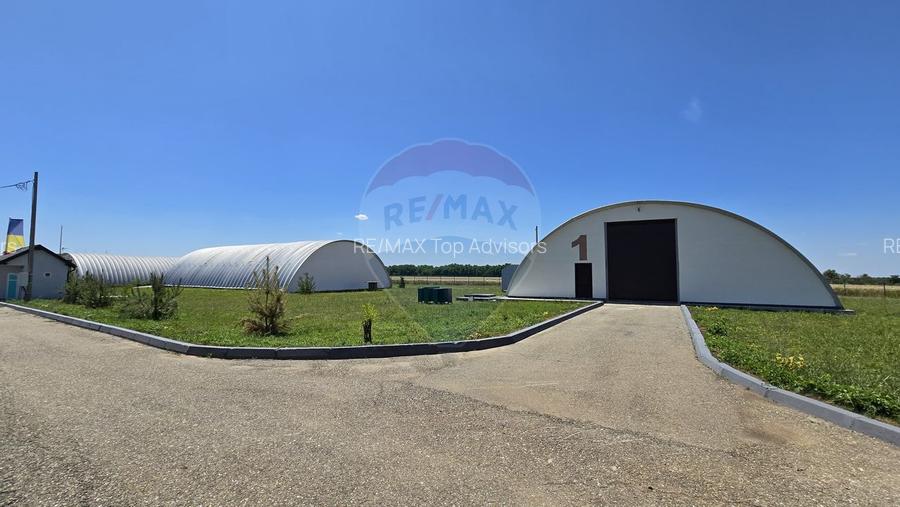 DE VANZARE | Hale | 1407mp | Teren 9344 | Potigrafu - 13