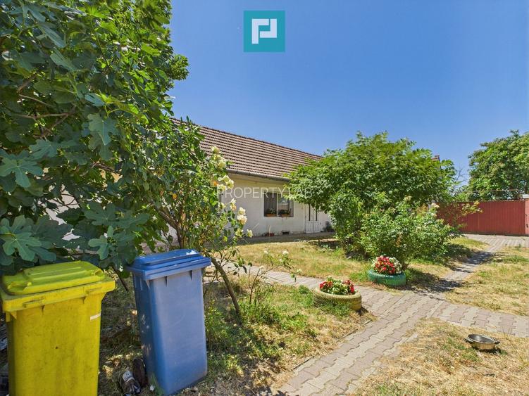 Casă cu 2 corpuri independente în Aradul Nou - 29