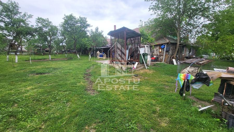 Casa individuala cu 6 camere,2 bai,teren de 1017 mp Pischia Central - 15