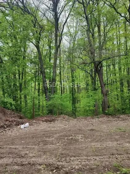 Apartament High End 4 Camere | Gradina 263mp | Iancu Nicolae | - 7