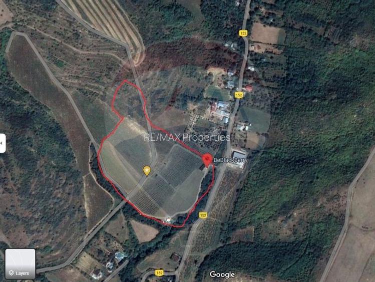 Oportunitate de investitie - Teren de vanzare I 4 ha I certificat ECO - 2