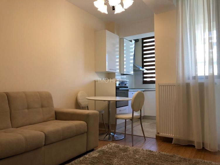Apartament de inchiriat 1 camere zona Copou-Stadion Emil Alexandrescu - 4