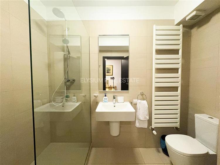 Apartament de inchiriat 4 camere Soseaua Nordului Herastrau - 33