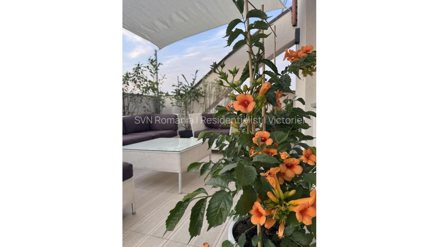 REA1025531 Timpuri Noi l Penthouse 3 camere l terasa 57 mp - 18