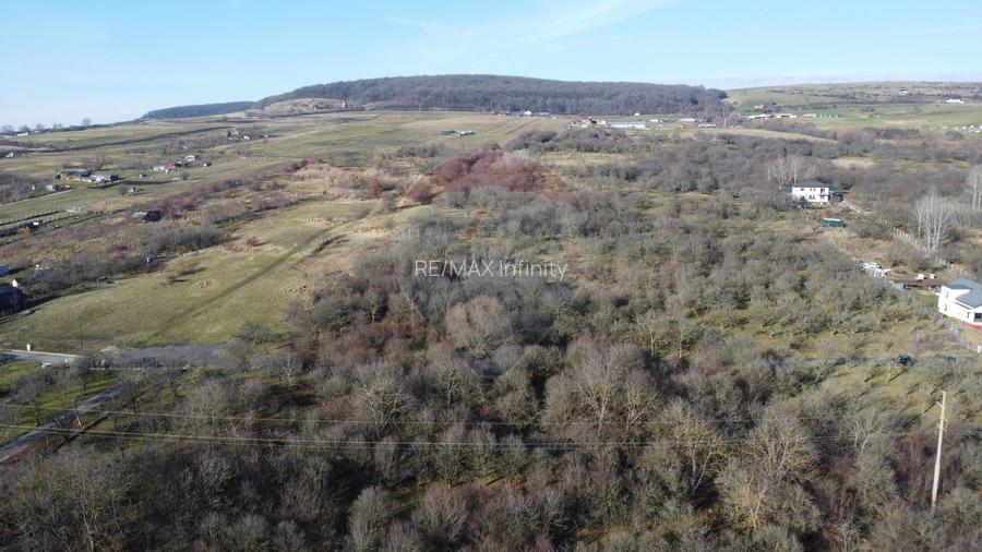 Teren 20.146 mp Dâmbu Rotund (Lomb).Extravilan.Potențial rezidențial - 11