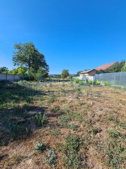 Teren Intravilan 6017 mp pentru Constructii Case Individuale, Duplexuri, Blocuri - 3