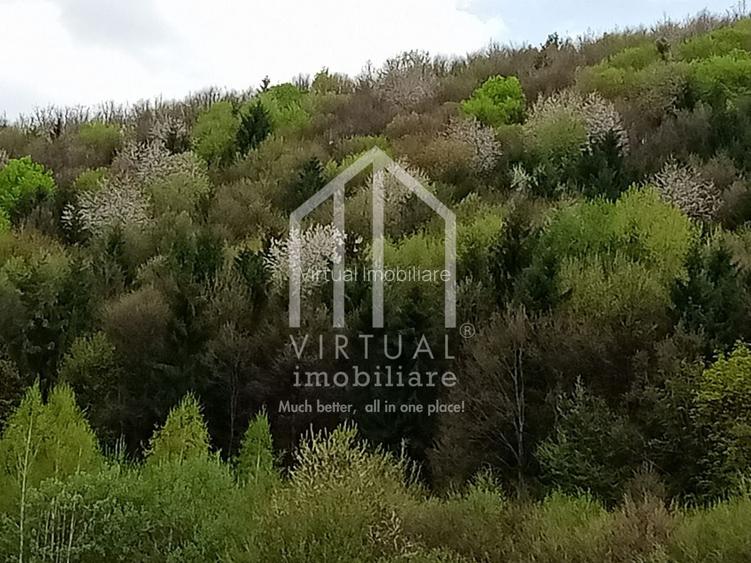 Teren intravilan de vanzare in Tocile, 3862 mp, priveliste spre padure - 4