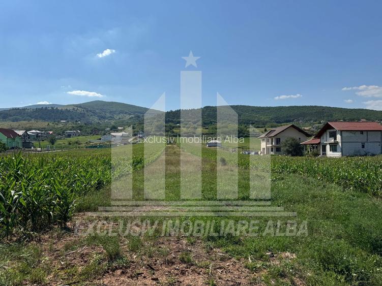 Teren intravilan | De vanzare | 5100 mp | 15 ml | Micesti - 2