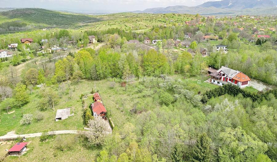 Teren intravilan Bran- Predelut - 32