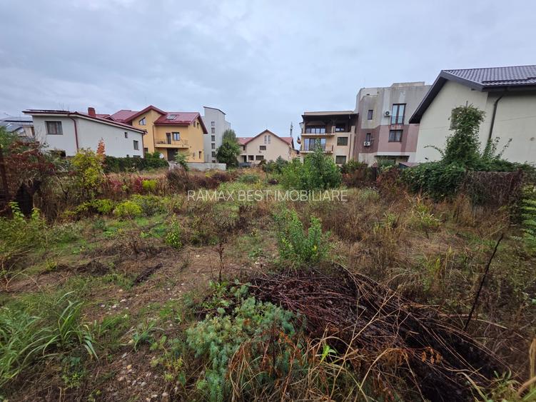 B-ul Nicolae Grigorescu, chiar la pasajul peste Spaliul Unirii, - 10