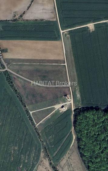 Teren | Poiana Ciolpani | Iris Orangerie - 3