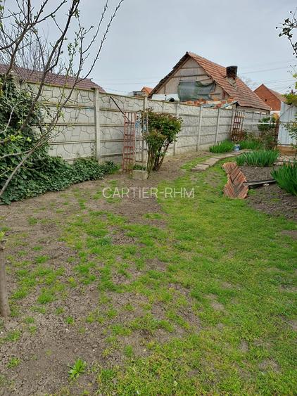 Casă de vânzare urgent în Jimbolia- 731 - 15