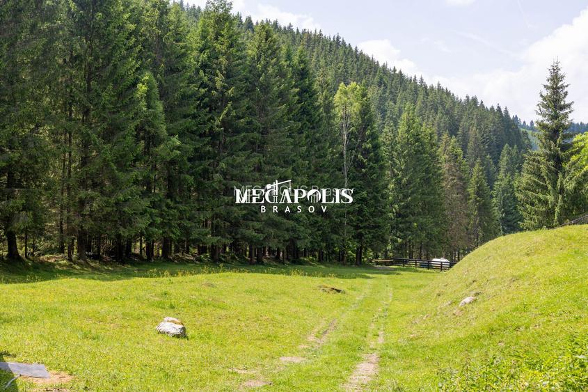 Pretabil Hotel,Pensiune,Case de Vacanta/Utilitati/PUZ - 17