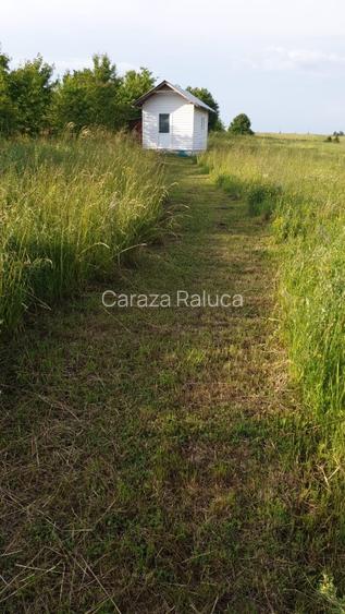 5050mp teren intravilan, faneata, comuna Garcina, sat Almas, Neamt - 3