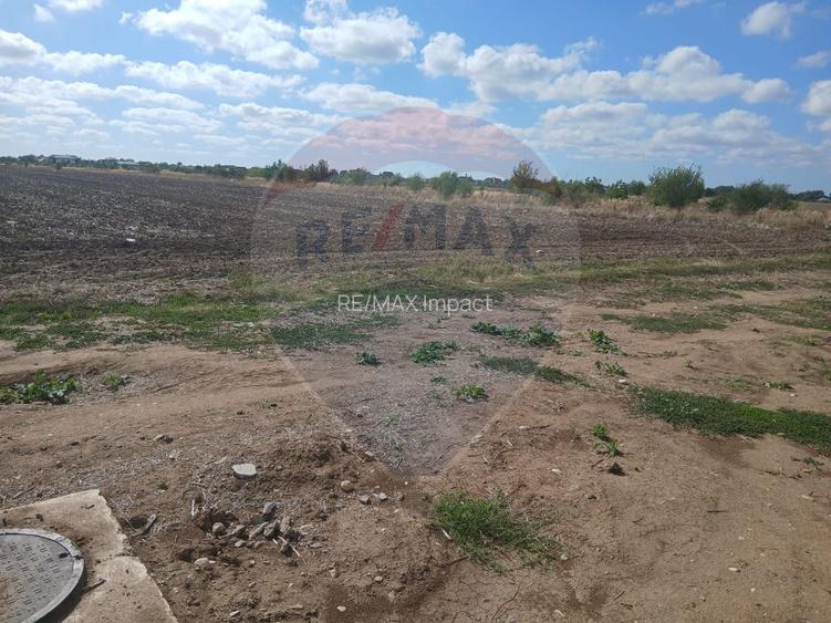 Teren de vanzare 4500mp Strada Rasaritului Darvari Ciorogarla A0 - 3
