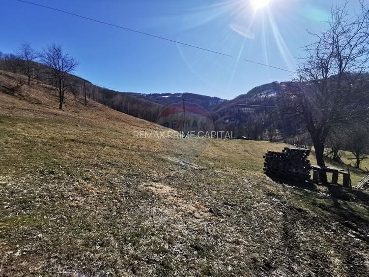 De vânzare teren intravilan 10,100 mp, cu anexă, Munteni - 6