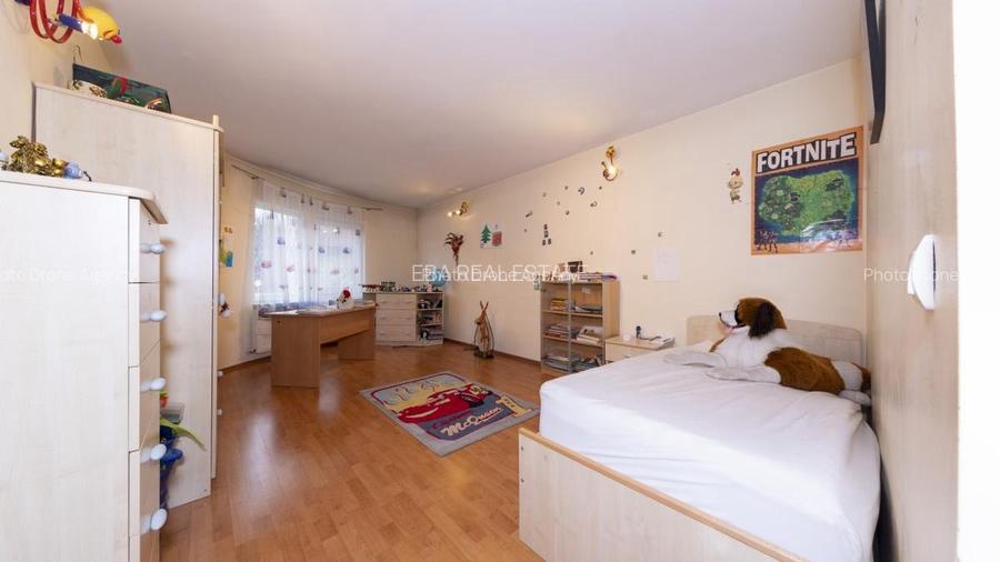 Duplex confortabil la Padure-Rosu, 273 mp construiti, 199 mp teren, P+1+M, 5 cam - 16