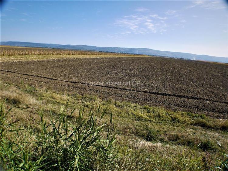 Teren iesire din Nicolae Balcescu, la 200ml de E85 Bacau - 9