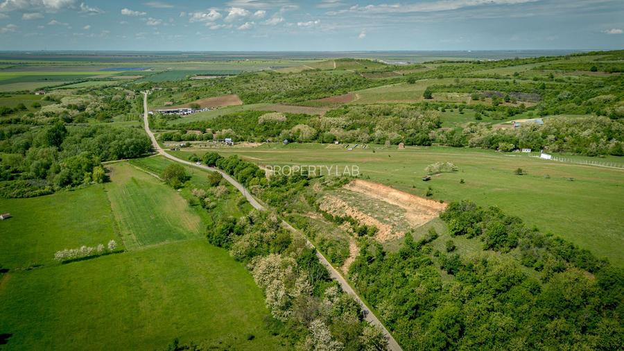 Teren extravilan în vecinătatea Mănăstirii Feredeu - 6