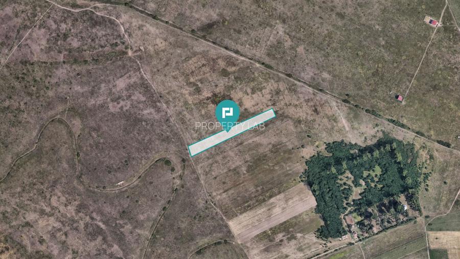 Teren extravilan de 10.000 mp - 6