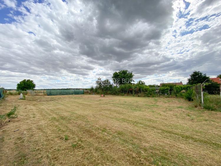 Teren intravilan 1412 mp, Ciofliceni – Ilfov - 4