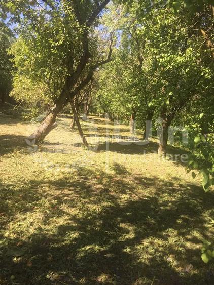 Teren construibil 2000mp | Front 20m | Sat Gheorghieni - 5