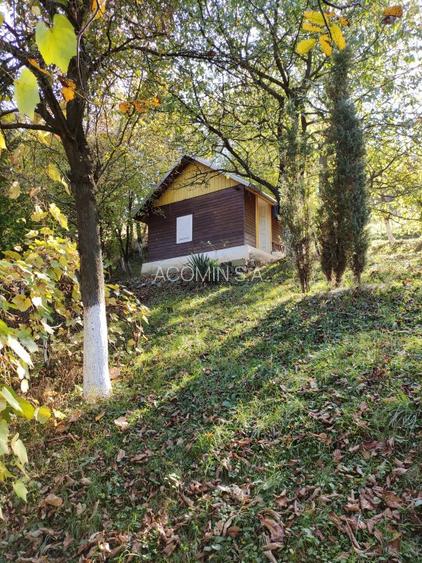 TEREN INTRAVILAN CABANA SI DEPOZIT DE UNELTE - 6