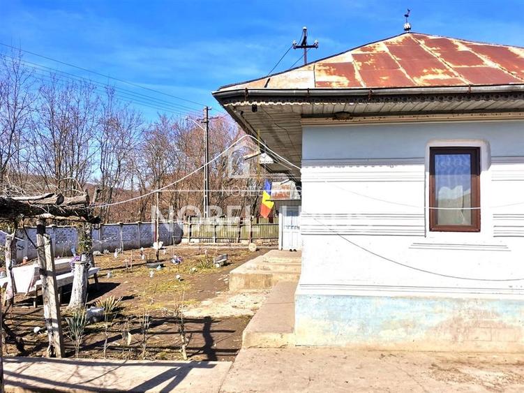 Casa, teren si padure, in sat Siscani, jud Vaslui - 9