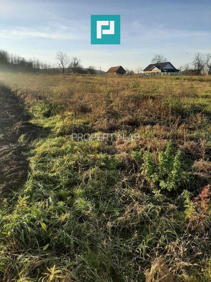 Teren intravilan în Ususău - 2