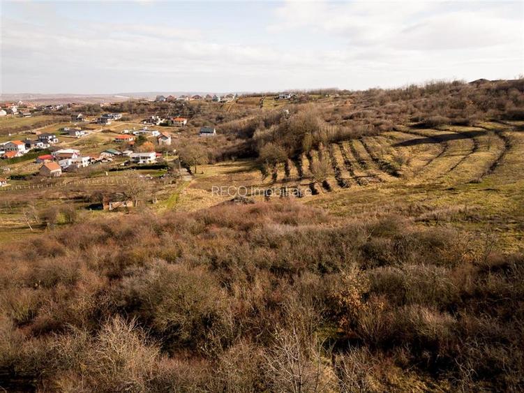 RECO Teren intravilan in zona Oncea - 7