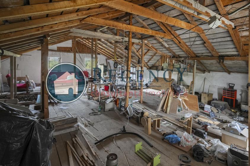 Casa P+M in Ciolpani - Snagov, oaza de liniste si verdeata - 20