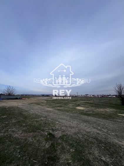 Teren Arabil Turnișor - Spre ferma de pui - 2