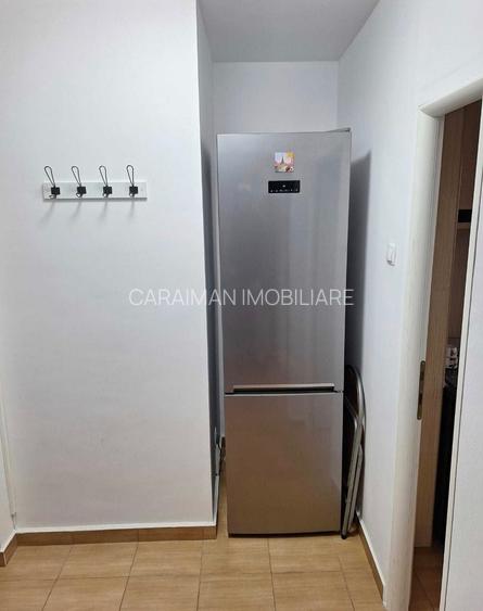 Colentina, Doamna Ghica vav Parc Plumbuita - 5