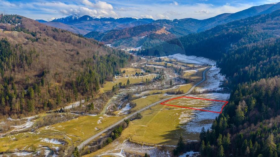 Comision 0% | Teren 10,000mp Sacele / Strada Barajului - 4