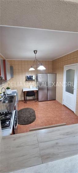 Apartament 4 camere, 2 bai, terasa - de inchiriat - Copou - 29