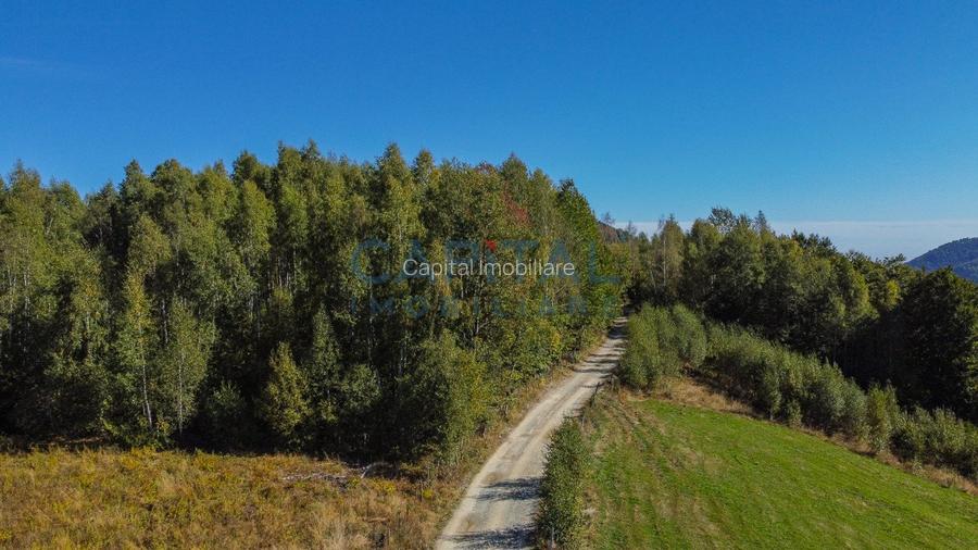 Comision 0% teren intravilan 1000 mp, PUZ, priveliste, Baisoara - 3