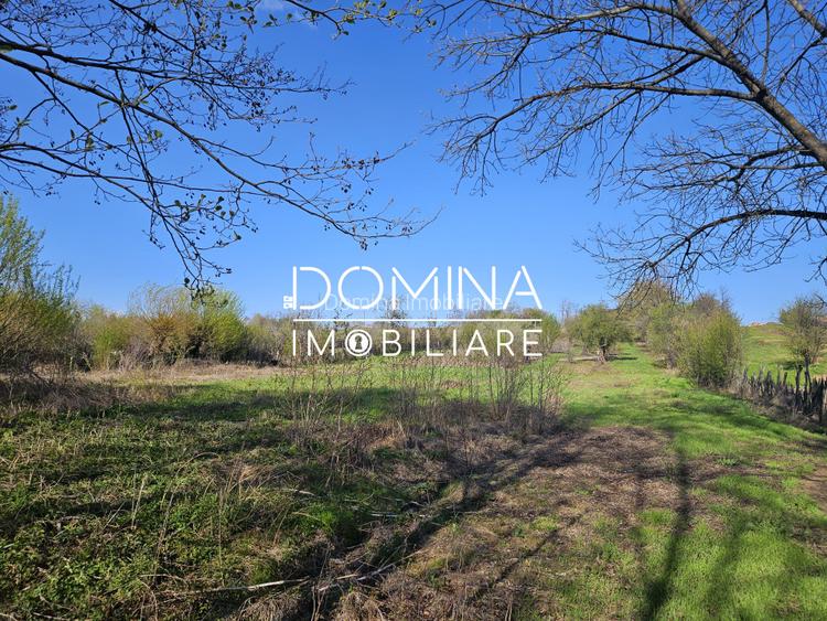 Vanzare teren 4606 mp - Sat Balta - Runcu - la aproximativ 20 km de Targu Jiu - 4