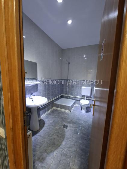 Spatiu centra Mircea cel Batran - 10