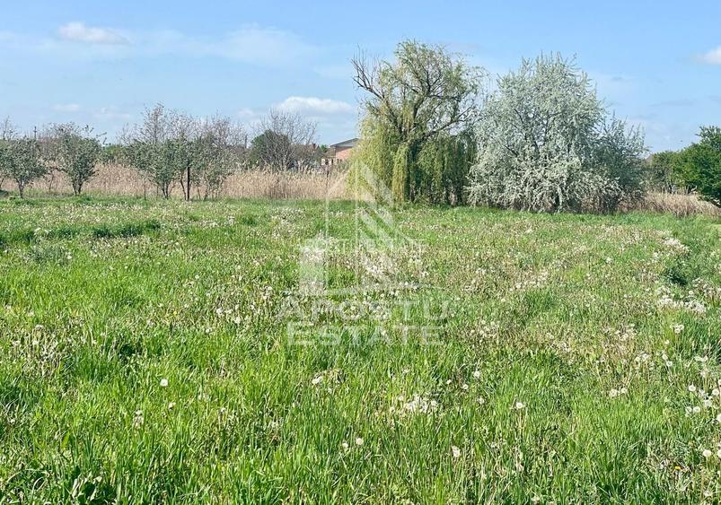 Casa individuala cu curte individuala si gradina - Zona Gai - 24