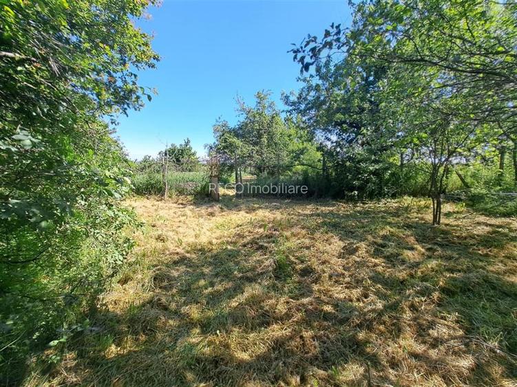 RECO Casa cu pivnita Sisterea - 14