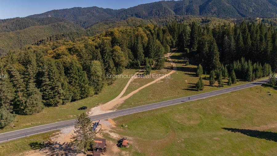 Teren premium pentru dezvoltare de lux – Drumul Poienii, Brasov - 4