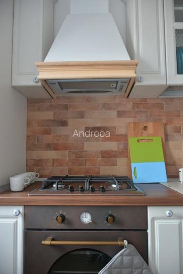 Apartament 2 camere, Tinetetului, Unirii, in stil provensal - 5