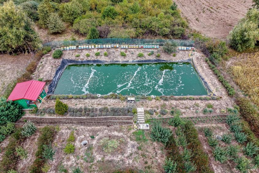 🏡 Mai mult decât o casă: libertatea de a trăi aproape de natură