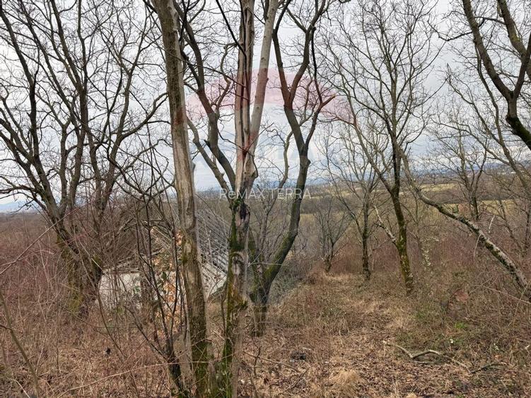 DE VANZARE Teren Strada Victoriei Baia Mare - 7