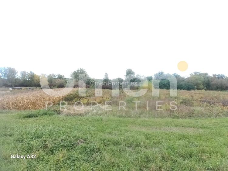 Teren extravilan de 7 arii de vânzare în Cătălina – ideal pentru casă de vacanță - 3