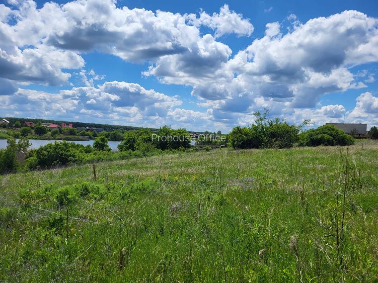 LA 20 DE MINUTE DE BUCURESTI LA TANCABESTI TEREN  LAC - 4