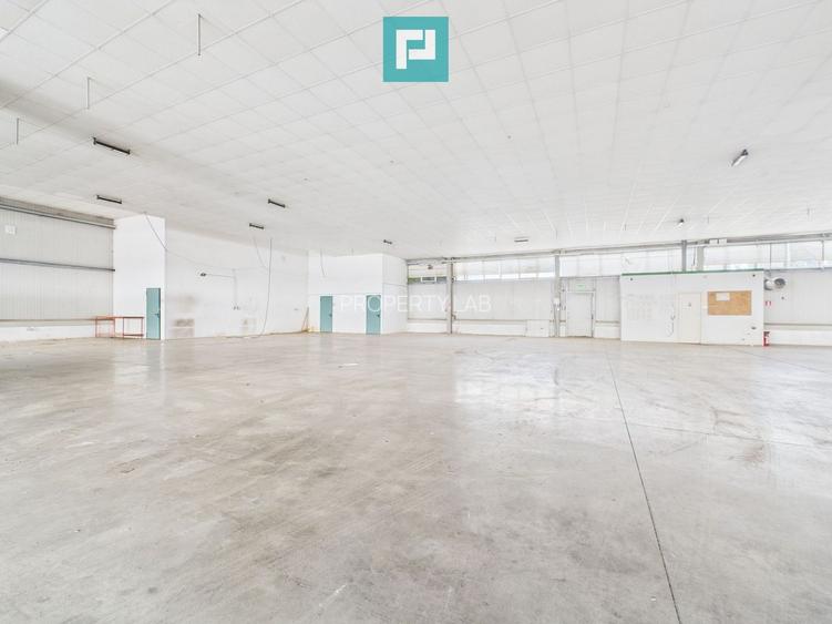 Spațiu depozitare 1.332 mp de închiriat în Ghiroda - 5