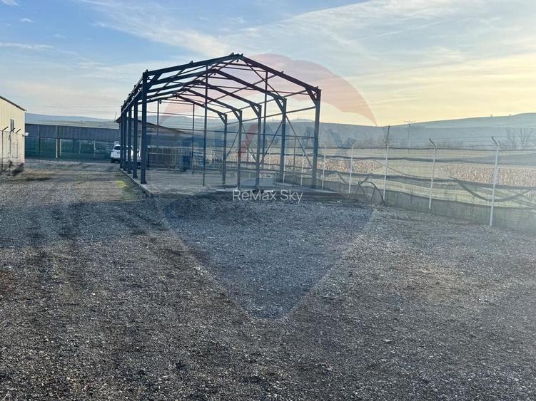 Hală industrială Dej - 7