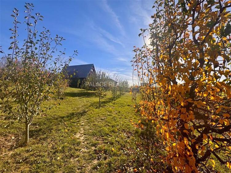 Proprietatea deosebita cu 4000mp teren, Barnova - 5